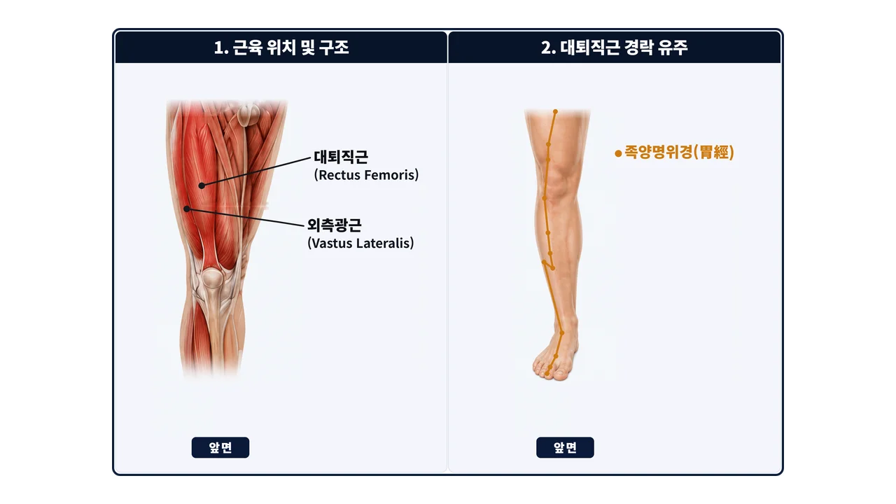 다리 통증과 에어컨 칼럼 대표 이미지